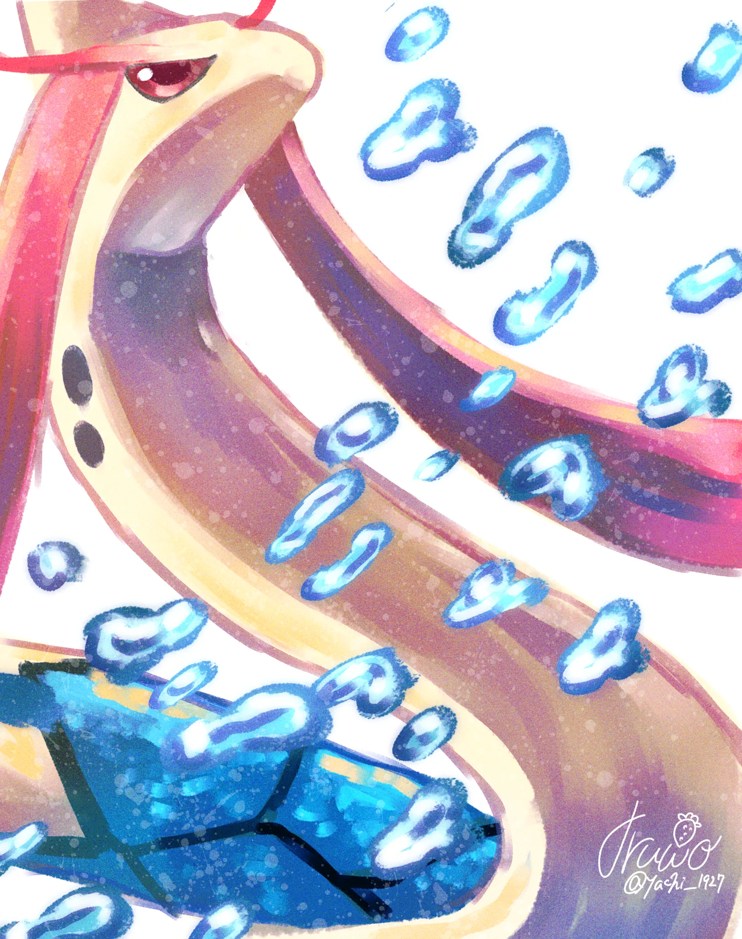 ミロカロス 1